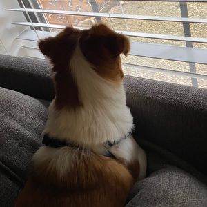 Meet your Posher, Tamara